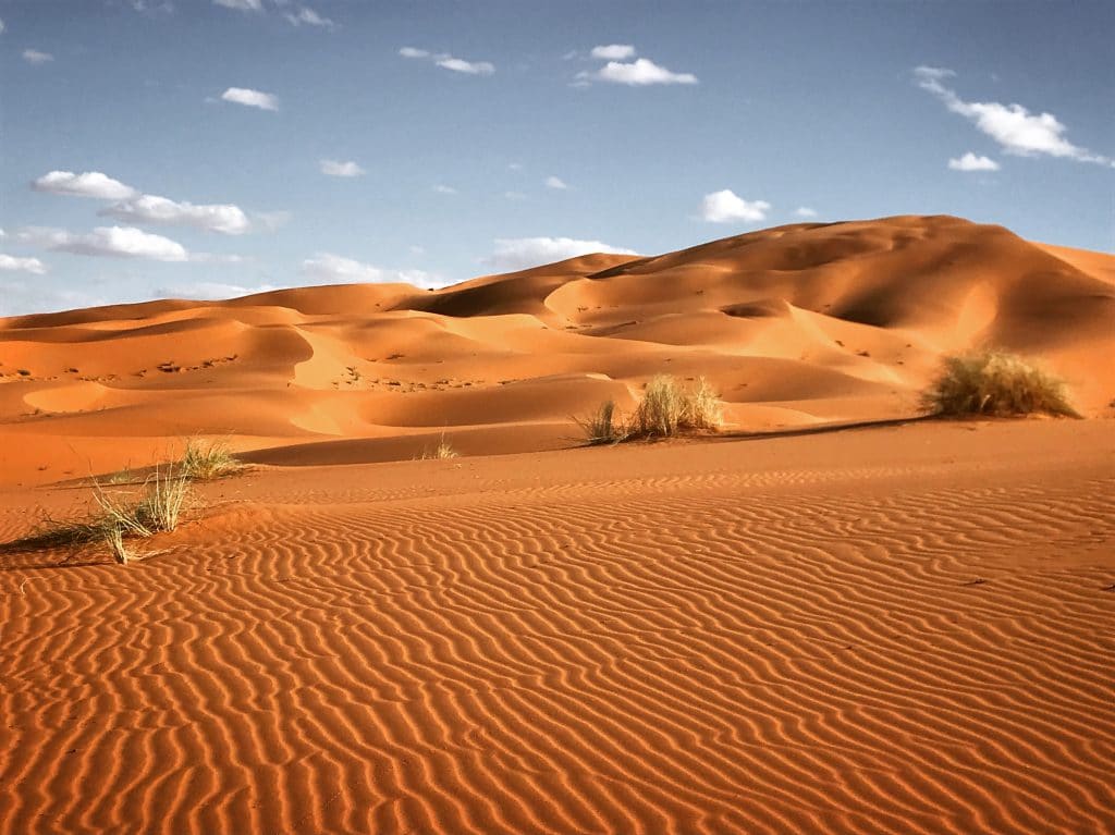 rippled sand in Morocco's desert