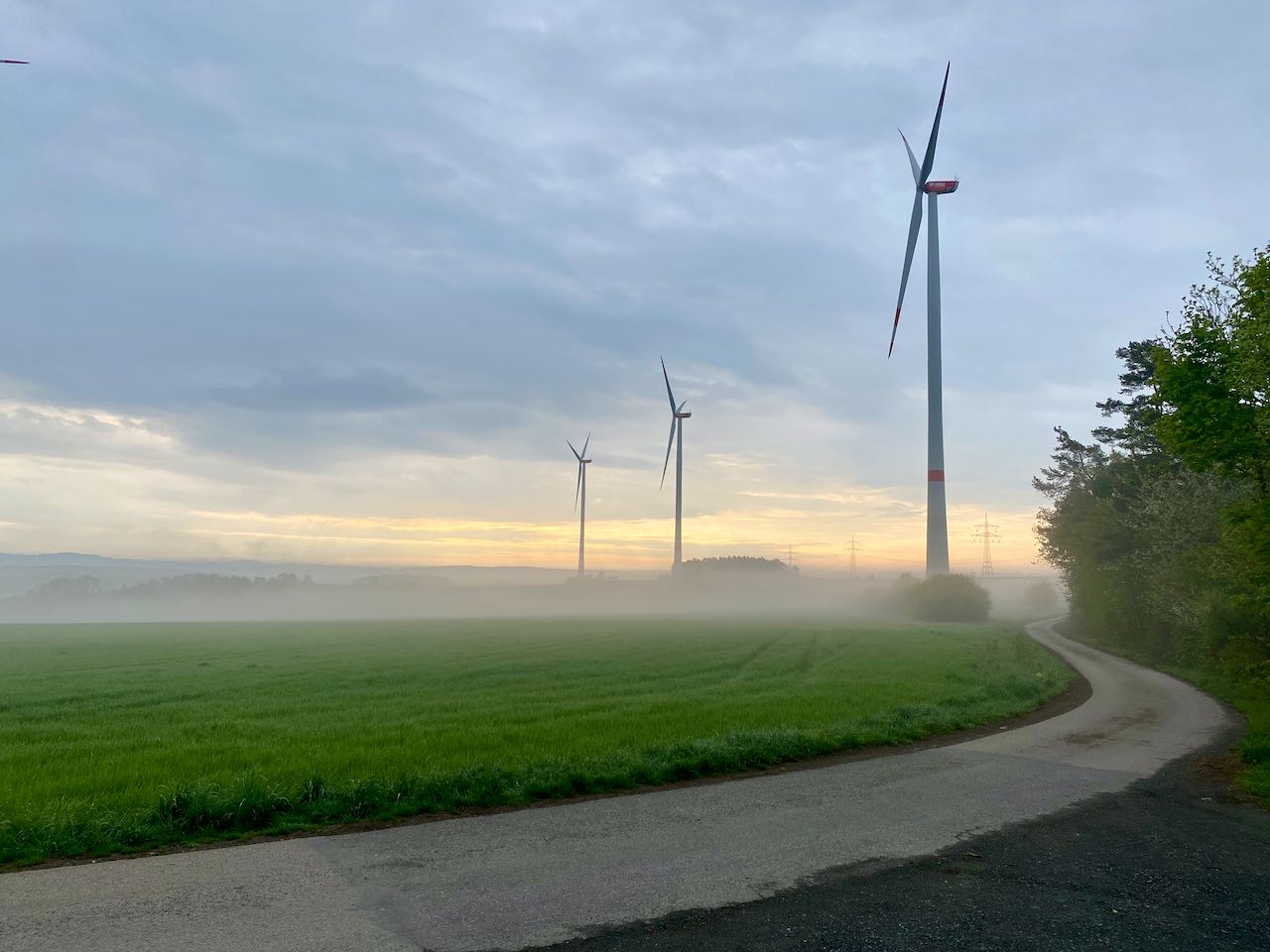 Wind turbines in morning fog