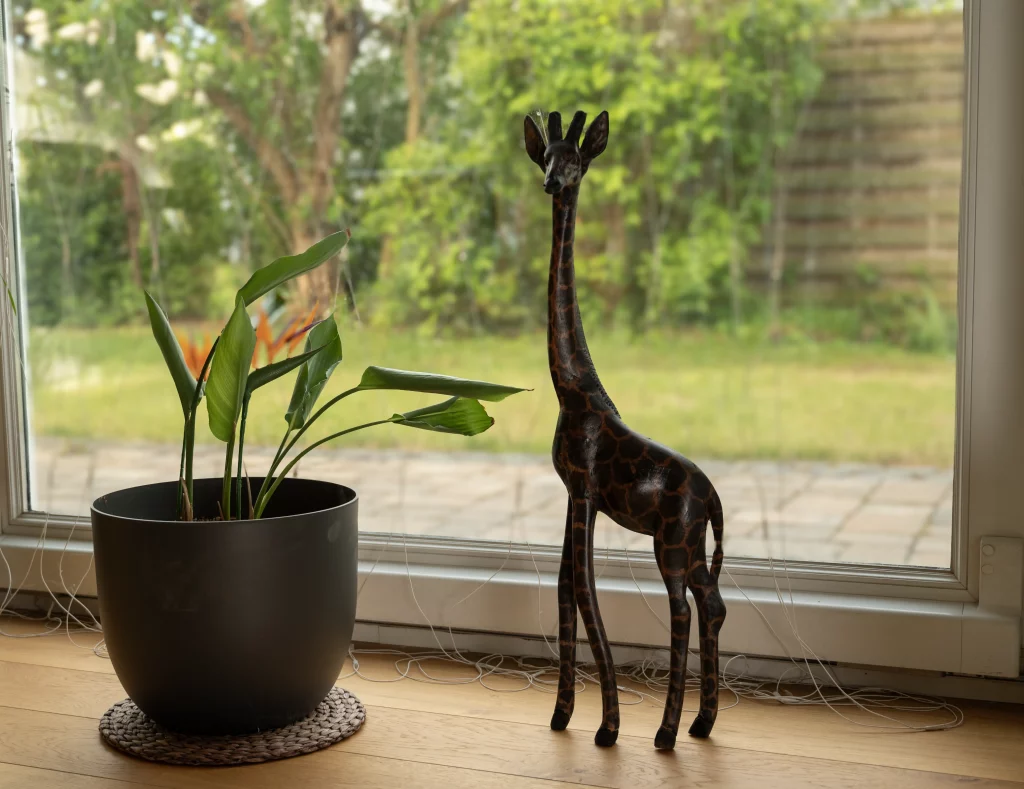 a picture of our giraffe wood carving