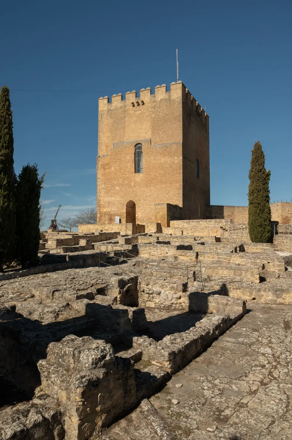 Fortaleza la Mota-14