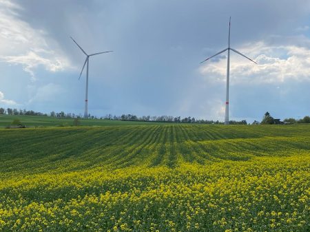 Wind turbines behind a rapeseed field